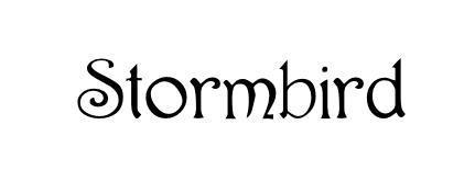 Stormbird photo 1